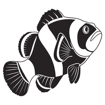 black and white clownfish swimming clip art preview