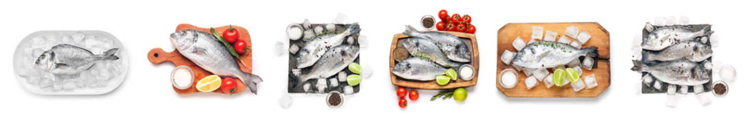 Set of fresh dorado fish on white background, top view
