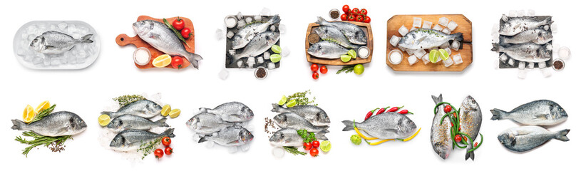 Set of fresh dorado fish on white background, top view