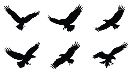 Obraz premium Eagle Silhouettes - Black Flying Bird of Prey Vector Clipart Set