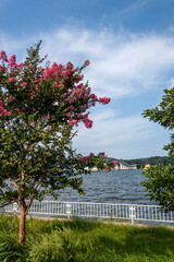 石川県　能登島大橋　快晴の海と空　9月
