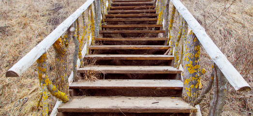 A wooden staircase with moss growing on it