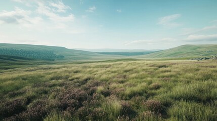 Fototapeta premium Highland meadow sunrise, rolling hills, peaceful landscape, tourism brochure