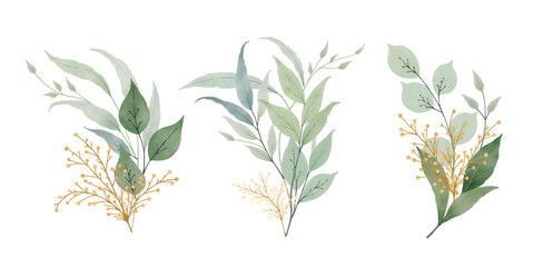 set of watercolor leaves
