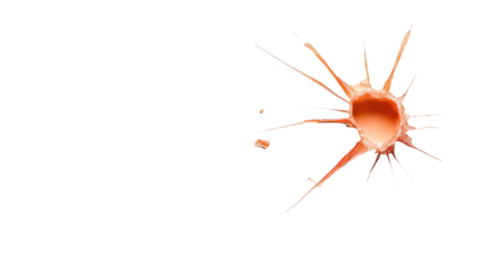 Holes in the walls revealed an orange color inside.