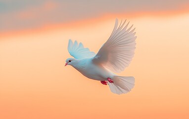 A graceful white dove ascending through a radiant sky, wings spread wide, symbolizing the universal message of love and peace in a tranquil environment