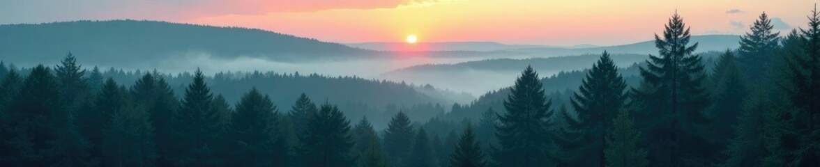 Dense spruce forest under early morning misty dawn, forest, early morning, dense