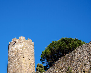 Naklejka premium Historic round tower fortress walls over vivid green pine clear sky