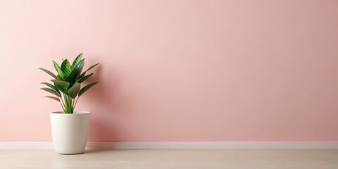 Fototapeta premium Soft pink minimalist wall with a single isolated home plant in a simple white planter , simple
