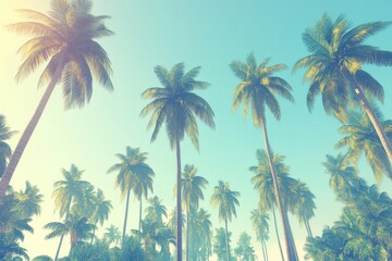 Obraz premium The backdrop is a gorgeous natural tropical scene with palm trees standing tall against a blue sky filled with clouds