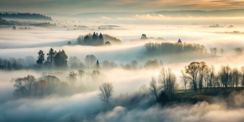 Naklejka premium Dense fog slowly covers the landscape with an eerie silence and stillness, as if nature itself is holding its breath, fog