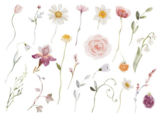Elegant Watercolor Wildflowers Clipart – Beautifully Illustrated Floral Elements for Invitations, Stationery, and Decor