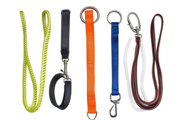 Assortment of Durable Dog Leashes and Collars