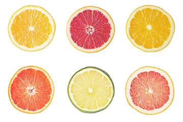 set of citrus fruits isolated
