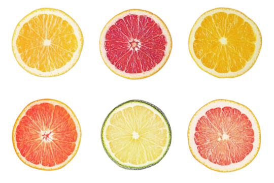 set of citrus fruits isolated