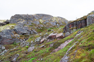 Rocks on the mountainside, tundra landscape, Rybachy Peninsula, Murmansk region, Russia