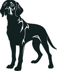 American English Coonhound Silhouette Vector Illustration White Background