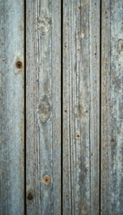 Fototapeta premium Weathered grey wood planks, vertical grain, abstract texture , texture, wood texture background