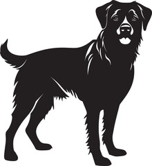 Anatolian Shepherd Silhouette Vector Illustration White Background