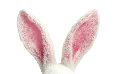 White easter bunny rabbit ears isolated on a transparent background