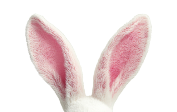 White easter bunny rabbit ears isolated on a transparent background