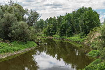Fototapeta premium Natural landscape with a valley of Bug river in lubelskie voivodeship in Poland