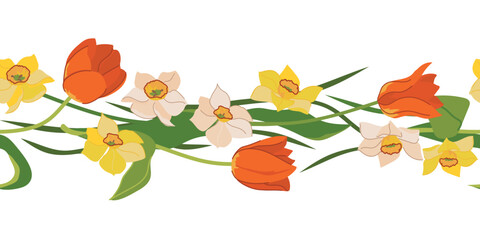 Beautiful seamless border of tulips and daffodils isolated on white background. Red, yellow and white spring flowers, Mother's Day gift. Colorful vector illustration in flat style.