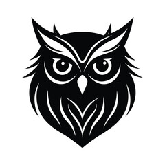 owl on white background