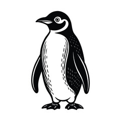 penguin on a white background