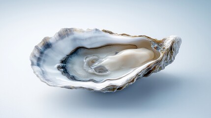 Naklejka premium Oyster harvesting event coastal shore seafood showcase natural environment close-up view shell and pearl discovery