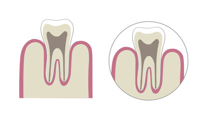 Simple circle icon of tooth and gum in boho colors. Flat illustration for rectangle shape 