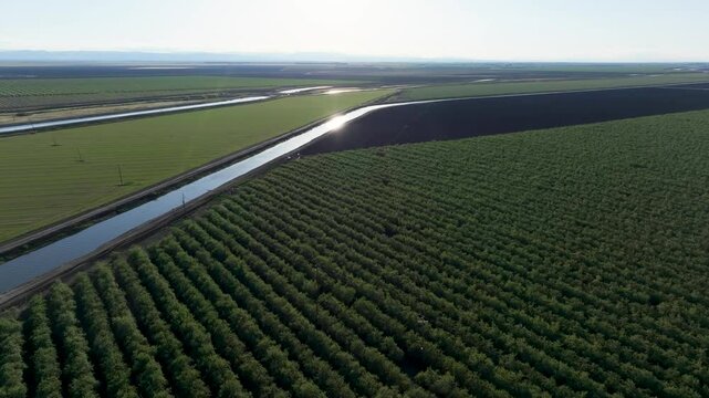 Sun reflecting off irrigation canal in orchard farmland