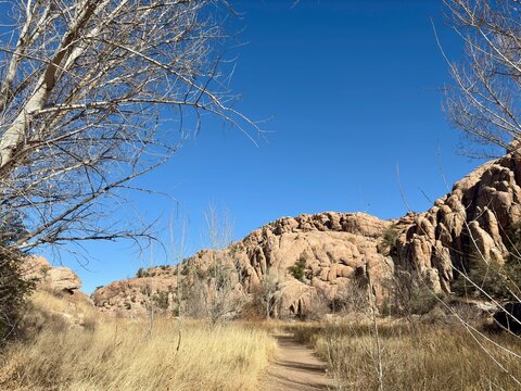 Dirt trail leading through dry grass, bare trees toward rock cliffs