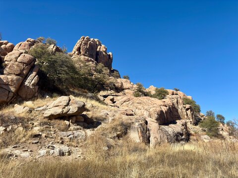 Rocky hillside with dry grass, scattered trees under clear blue sky