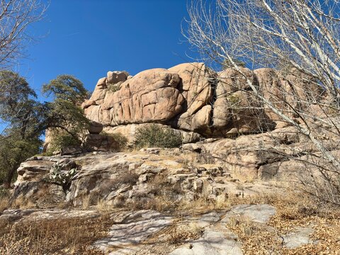 Rocky hillside with boulders, dry grass, sparse desert vegetation