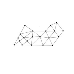 polygonal mosaic line pattern