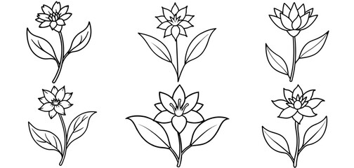 Wild Flower Outline Coloring Page Printable Line Art Drawing