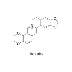 Berberine skeletal structure.Alkaloid compound schematic illustration. Simple diagram, chemical formula.