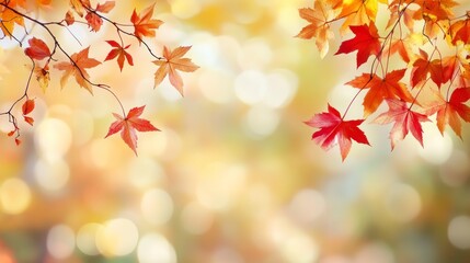 Fototapeta premium Autumn background with blurred autumn leaves and copy space for text, autumn concept. Autumn background with falling colorful red, yellow, and orange maple leaves