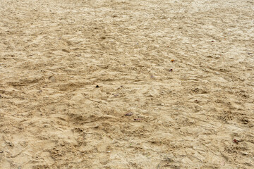 Beach sand under bright sunlight during midday