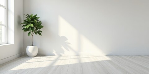 Minimalist Room Interior Design Featuring a Potted Plant and Sunlight Streaming Through a Window