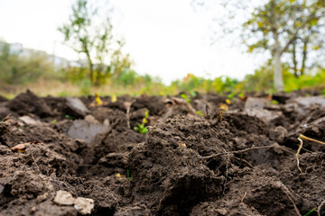 Ground texture in an agricultural field during autumn season