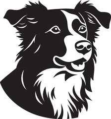 Miniature American Shepherd Silhouette Vector Illustration White Background