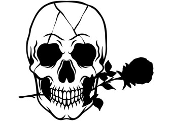 Rose Skull Vector