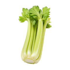 Extreme front view of a perfectly beautiful hyperrealistic single raw raw celery vegetable slice isolated on a white transparent background