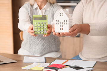 Senior couple with house figure calculating utility bills at table in kitchen, closeup