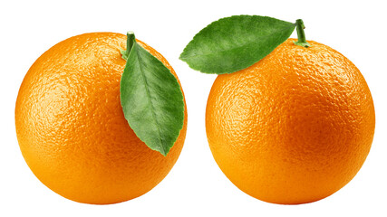 Orange isolated on white background, full depth of field