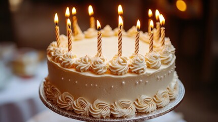 Festive birthday cake candleslit indoors celebration