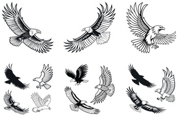 Obraz premium Minimalist Line Art Eagle Silhouette – Powerful Bird of Prey Vector for Logos and Prints. 24 set bundle,