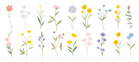 Collection of floral and botanical elements. Set of leaf, foliage wildflowers, plants, bloom, leaves and herb. Hand drawn of blossom spring season vectors for decor, website, wedding card and shop.